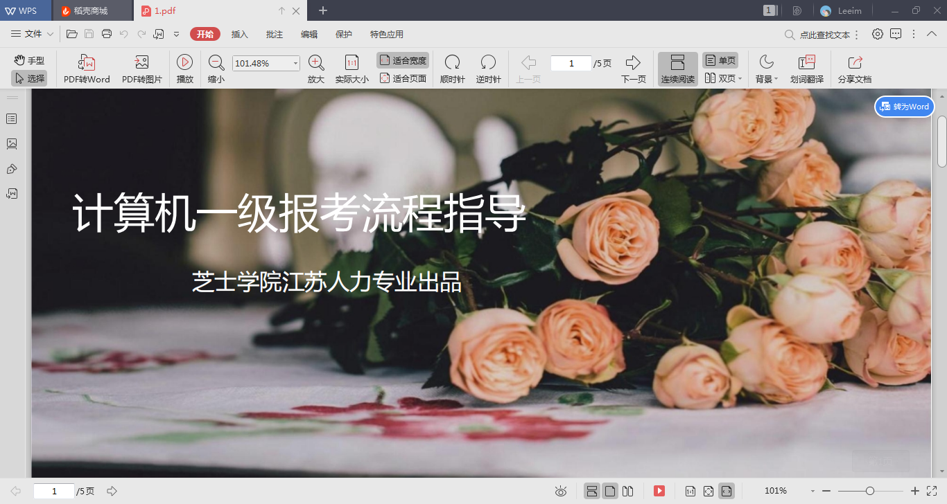 PPT转换成PDF文件图7